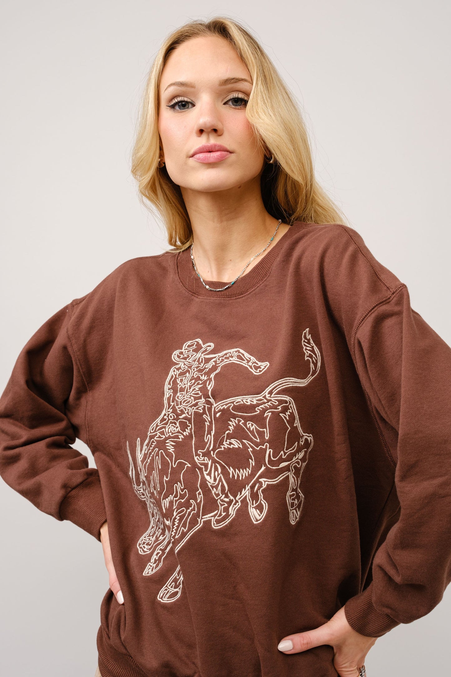 Embroidered Western Pullover Brown